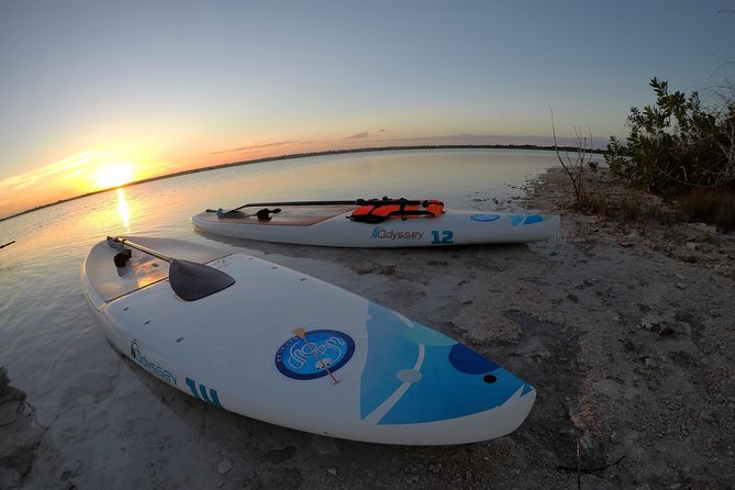Golden Hour at Mariscal Lagoon: A Sunset to Remember - Why This Bacalar Paddle Tour Is Worth Noticing