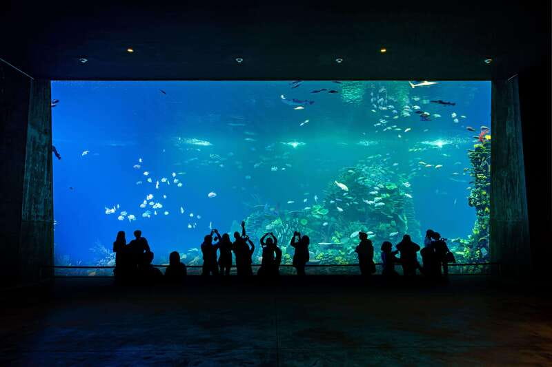 Gran Acuario Mazatlan - Key points to know before you go
