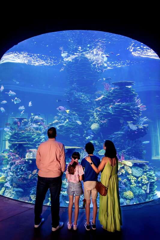 Gran Acuario Mazatlan - The 42 by 23 foot ocean window
