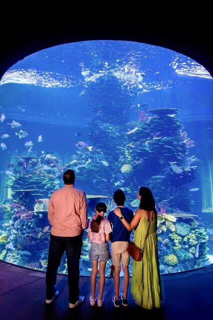 Gran Acuario Mazatlan - Morays, jellyfish, and the smaller tanks