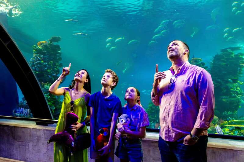 Gran Acuario Mazatlan - Macaws, parrots, and the bird theater