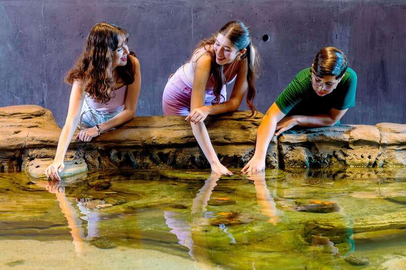 Gran Acuario Mazatlan - Is $30 a fair price?