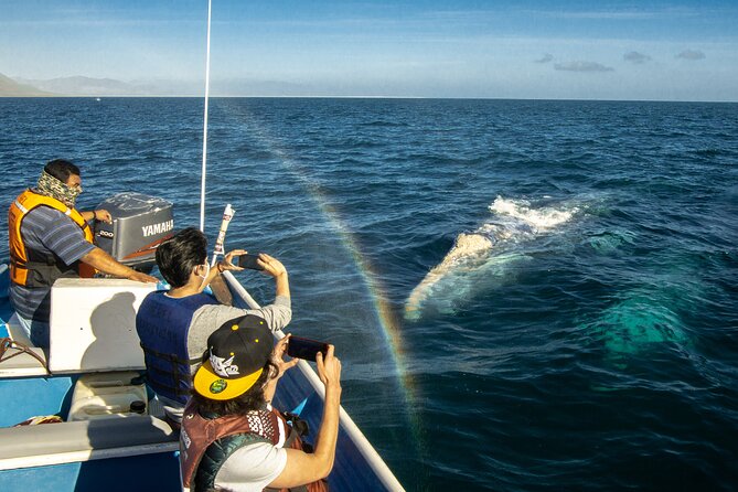 Gray Whale Watching Tour with Marine Biologist and Small Group - Why Puerto Chale Is Worth the Road Time
