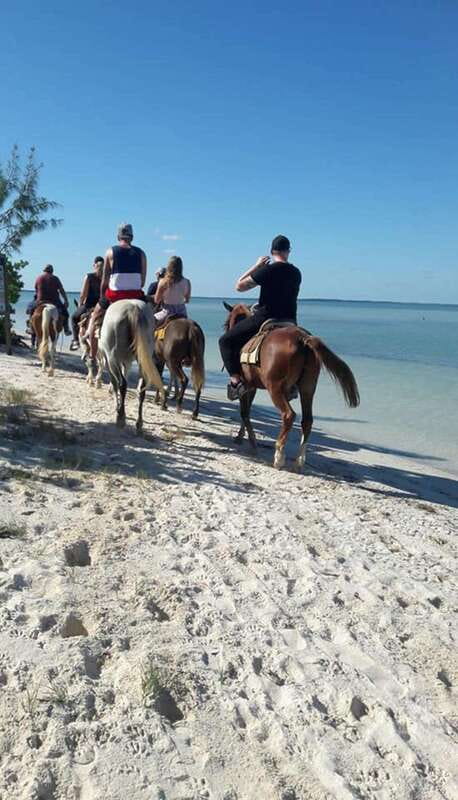 Group horseback ride on Holbox Island, Quintana Roo - Why the mangrove route matters on Holbox