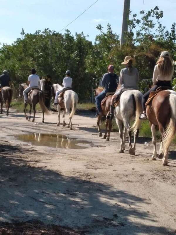 Group horseback ride on Holbox Island, Quintana Roo - What the 80-minute itinerary feels like