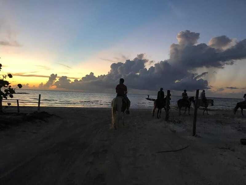 Group horseback ride on Holbox Island, Quintana Roo - Group size, pace, and the feel of the outing