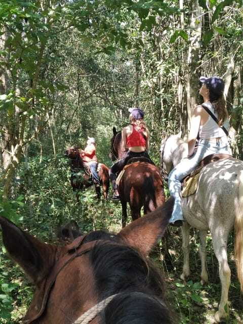Group horseback ride on Holbox Island, Quintana Roo - Is $71 a fair price?