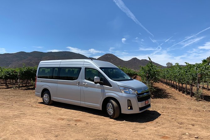 Group tour - An eight-hour wine day from Ensenada