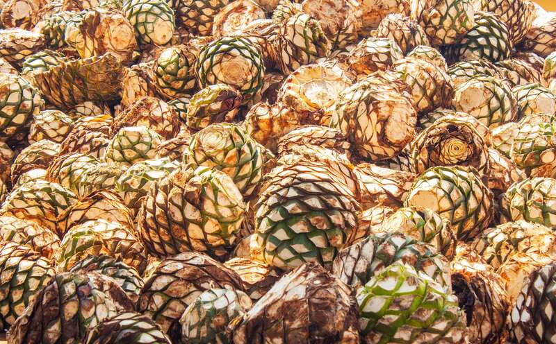 Guadalajara: Lake Chapala and Ajijic Day Trip with Boat Trip - Key points to know before booking