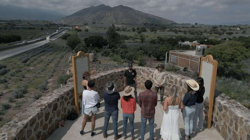 Guadalajara: Premium Tequila Tour with Tastings and Pairings - What the $58 price really includes