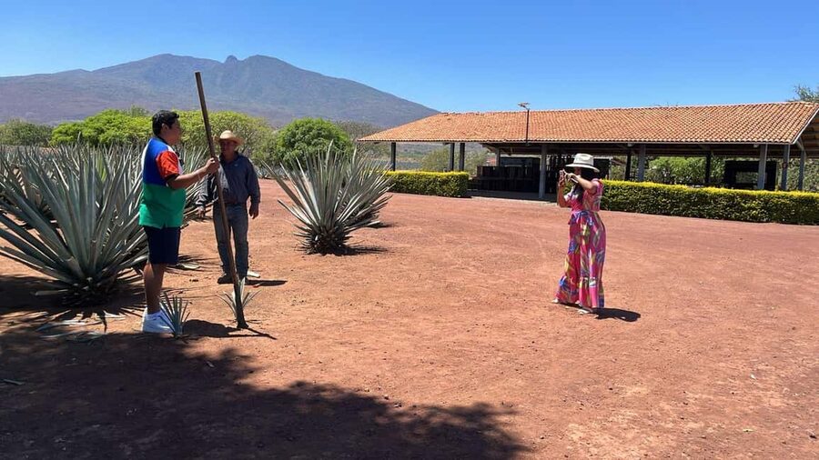 Guadalajara: Tequila Day Trip with Jose Cuervo Option - Key points at a glance