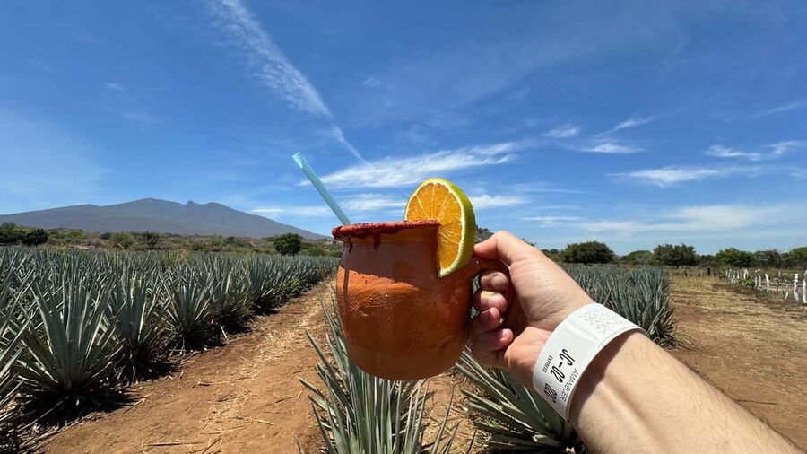 Guadalajara: Tequila Day Trip with Jose Cuervo Option - Inside the traditional distillery