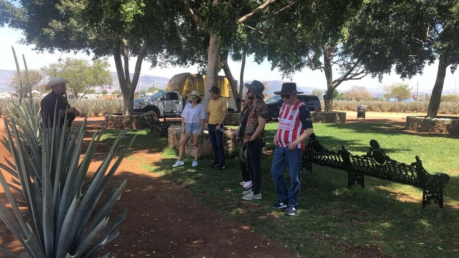 Guadalajara: Tequila Day Trip with Jose Cuervo Option - What the $80 price really covers