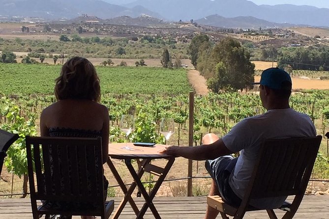 Guadalupe Valley Wine Route Tour in Baja California - Winery choices can change the character of your day