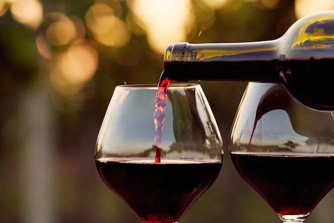 Guadalupe Wine Valley Tour - Key points to know before booking