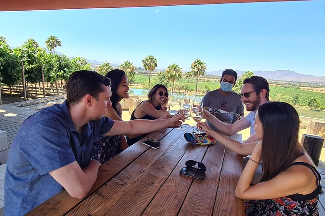 Guadalupe Wine Valley Tour - The coastal highway ride to Valle de Guadalupe