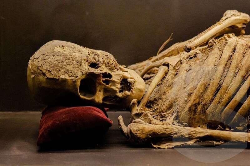Guanajuato: Mummies, Mines and Tunnels Guided Group Tour - What the $14 price includes, and what it does not