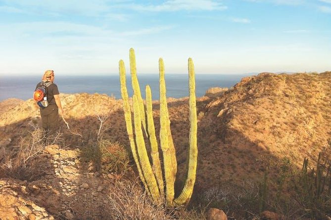 Guided Hike in Tabor Canyon - The 7:00 am pickup and ride to the canyon