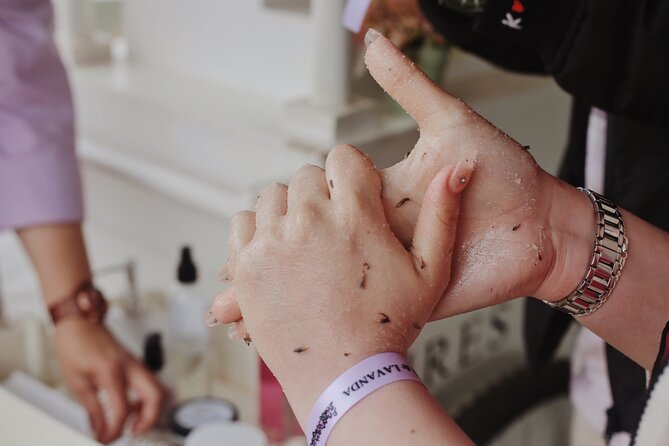 Guided Lavender Experience: Cultivation, Uses and Tasting - How the $35 price measures up