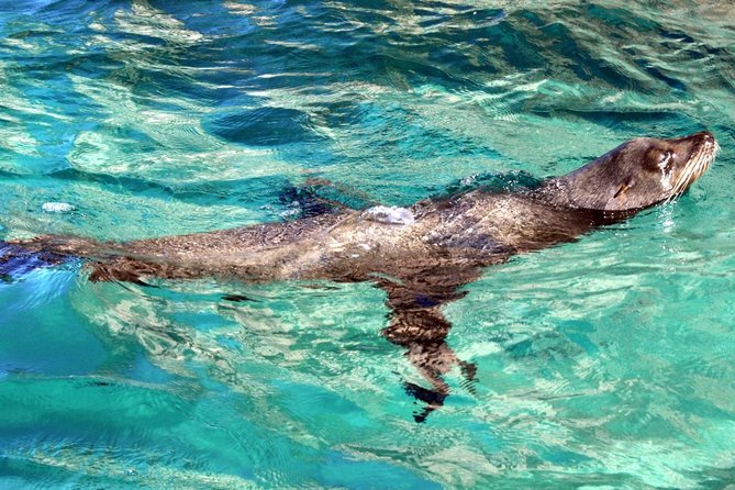 Guided Tour Los Cabos: Boat | Tacos & Tequila | Photos & Transfer - San José del Cabo’s downtown and Art District