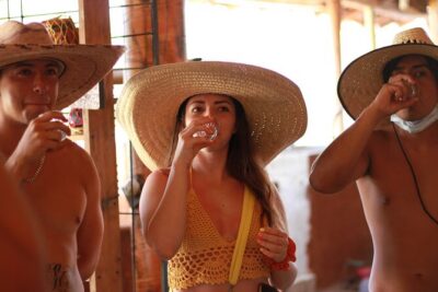 Guided tour of an ancestral Mezcal distillery with transport