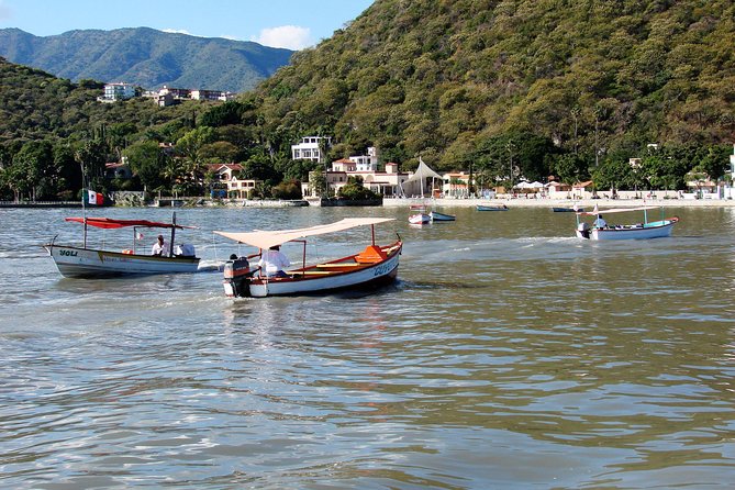 Half-Day Guided Tour of Lake Chapala from Guadalajara - Getting there from Guadalajara without renting a car