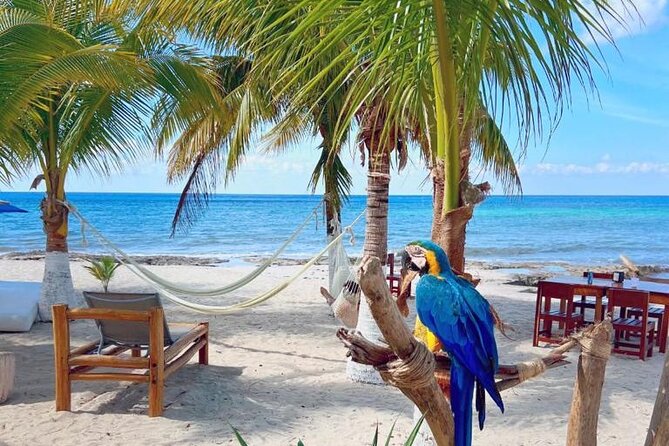 Half-Day Island Tour with Mayan Experience & Beach Break - Palm Beach, the main break of the day