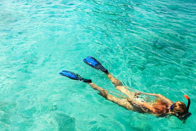 Half-Day Puerto Morelos Snorkeling Experience with Lunch - What the $49 price really buys you