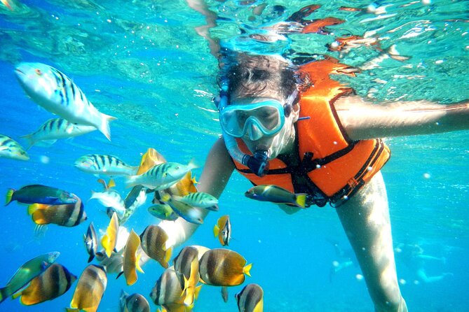 Half-Day Puerto Morelos Snorkeling Experience with Lunch - What you can expect during the reef session
