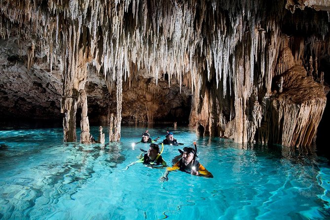 Half-Day Sea Turtle and Cenote Snorkeling Tour from Cancun & Riviera Maya - The real cost of a $99 outing