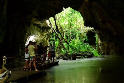 Half-Day Sea Turtle and Cenote Snorkeling Tour from Cancun & Riviera Maya
