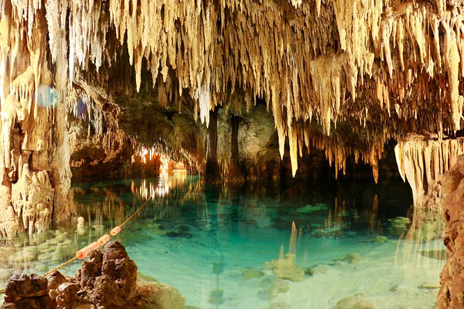 Half-Day Sea Turtle and Cenote Snorkeling Tour from Cancun & Riviera Maya - Should you book the Akumal and cenote combination?