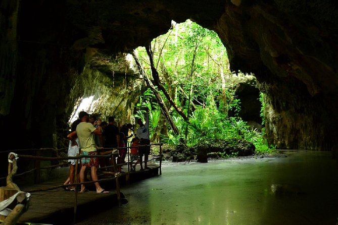 Half-Day Sea Turtle and Cenote Snorkeling Tour from Cancun & Riviera Maya - The early start and long road from Cancun