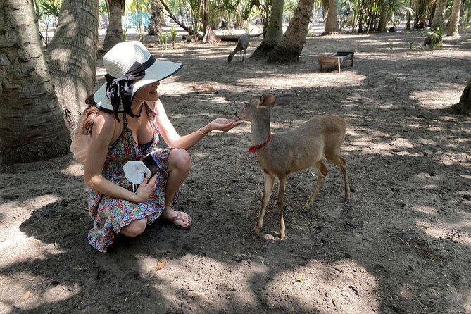 Half-Day Tour to Ventanilla, Mazunte, Zipolite and Puerto Angel - Key points to know before you book