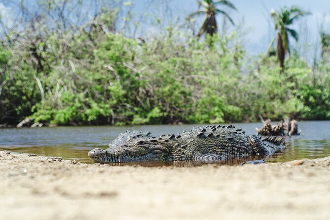 Half-Day Tour to Ventanilla, Mazunte, Zipolite and Puerto Angel - Why this coastal tour is worth considering