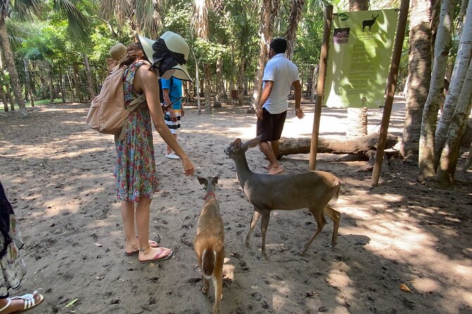 Half-Day Tour to Ventanilla, Mazunte, Zipolite and Puerto Angel - The guides are a major part of the value