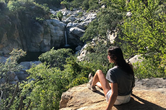Hidden Waterfalls Hiking Adventure - Why the private guide changes the experience