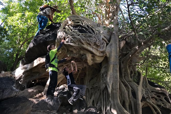 Hike the native Pericu road in Sierra de la Laguna. - Sunset, Headlamps, and the Night Return
