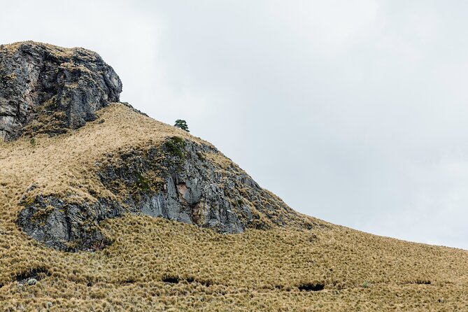 Hiking Tour on the Iztaccíhuatl Volcano from Puebla - Why the private format is worth considering