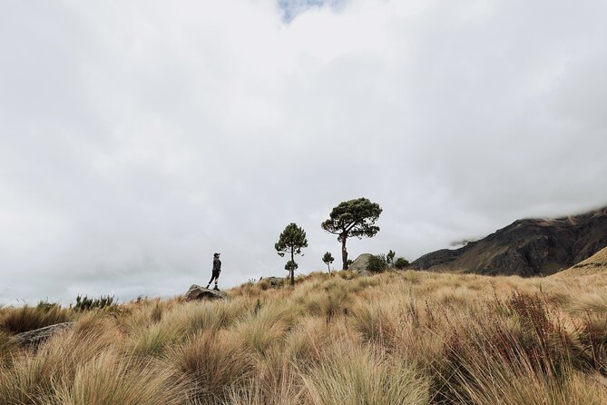 Hiking Tour on the Iztaccíhuatl Volcano from Puebla - Who should book this Iztaccíhuatl hike?