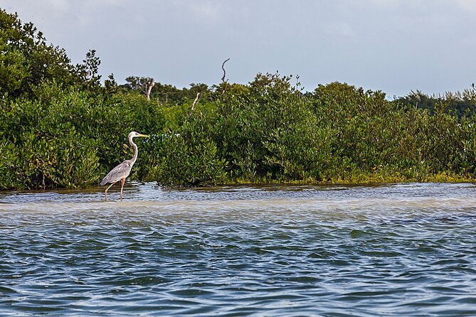 Holbox 3 Island Group Tour - Meeting near the ferry landing