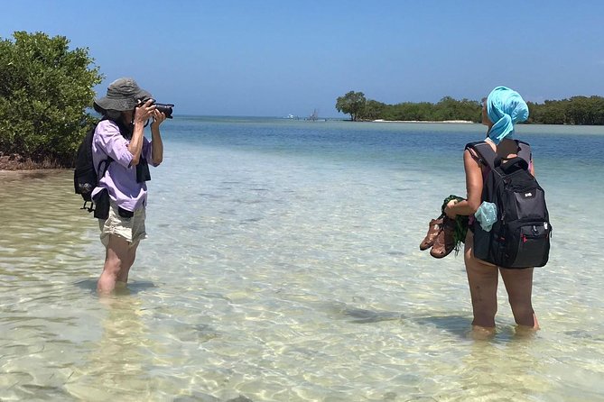 Holbox 3 Island Group Tour - Isla de los Pájaros and its bird sanctuary