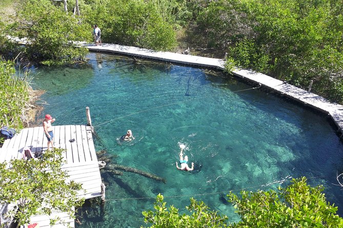 Holbox 3 Island Private Boat Tour - Why this private boat trip works so well on Holbox
