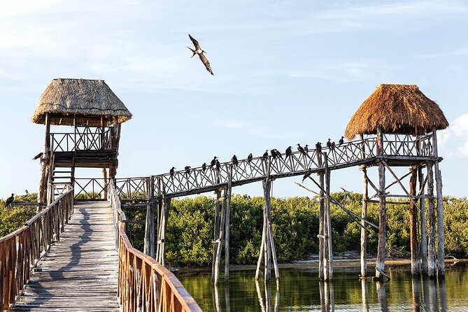 Holbox 3 Island Private Boat Tour - Yalahau Lagoon and the freshwater cenote swim