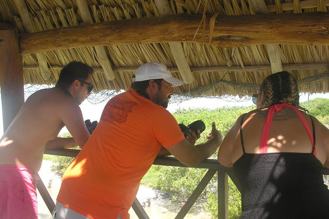 Holbox 3 Island Private Boat Tour - Timing, weather, and the limits of nature tourism