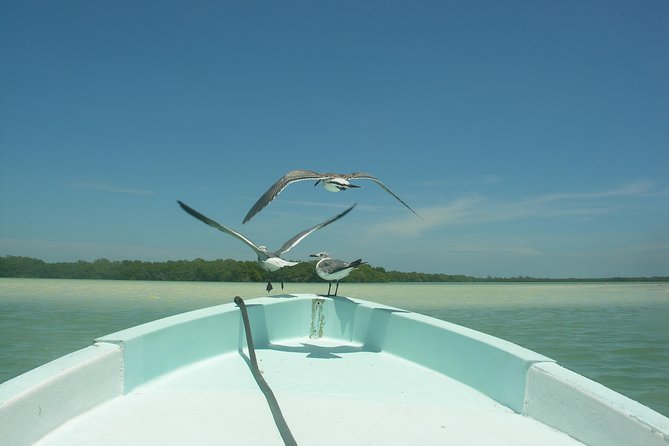 Holbox 3 Island Private Boat Tour - Who will get the most from the $346.50 price