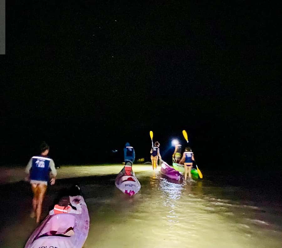 Holbox: Bioluminescence by Kayak and Stargazing. - Key points to know before booking