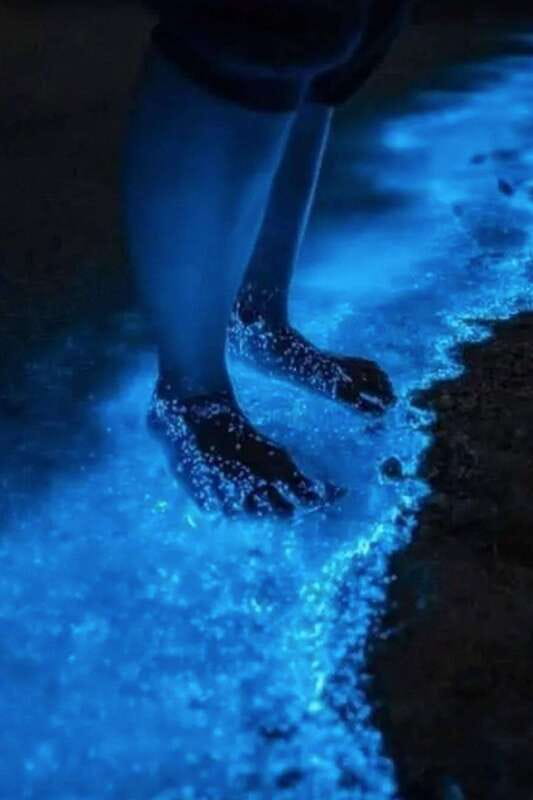 Holbox: Guided Bioluminescence Kayaking Tour - Why Holbox is a fine place for a night paddle