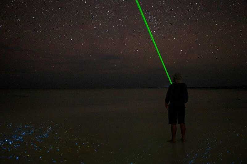 Holbox: Guided Bioluminescence Kayaking Tour - Twenty-five minutes on the sandbar