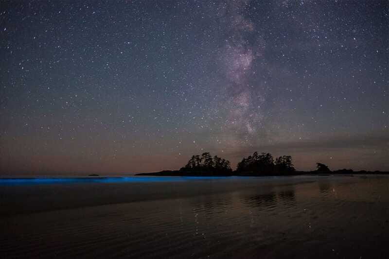 Holbox: Guided Bioluminescence Kayaking Tour - The return paddle and the pace of the outing